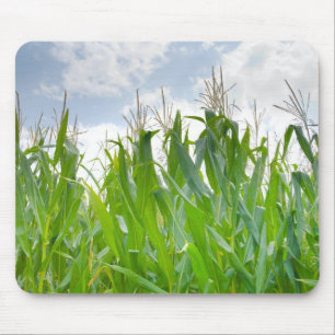 Mousepad do campo de milho