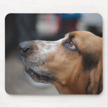 Mousepad do cão