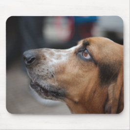Mousepad do cão
