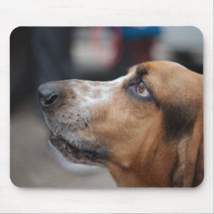 Mousepad do cão