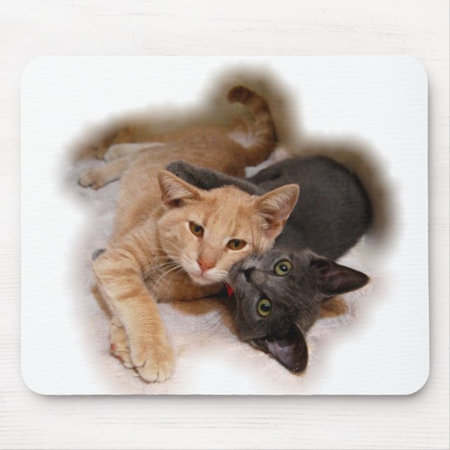 Mousepad do Cat Lovers (Frente)