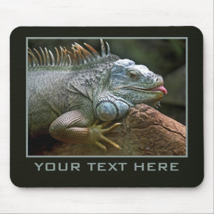 Mousepad do costume da iguana