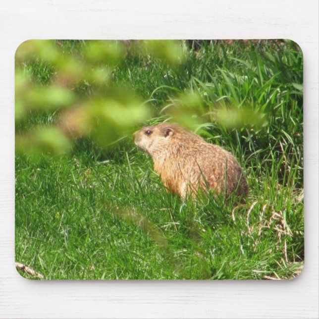 Mousepad do ~ da marmota (Frente)