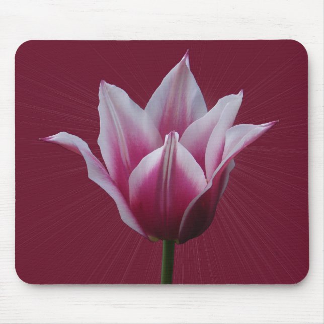 Mousepad do ~ da tulipa w/sunburst (Frente)