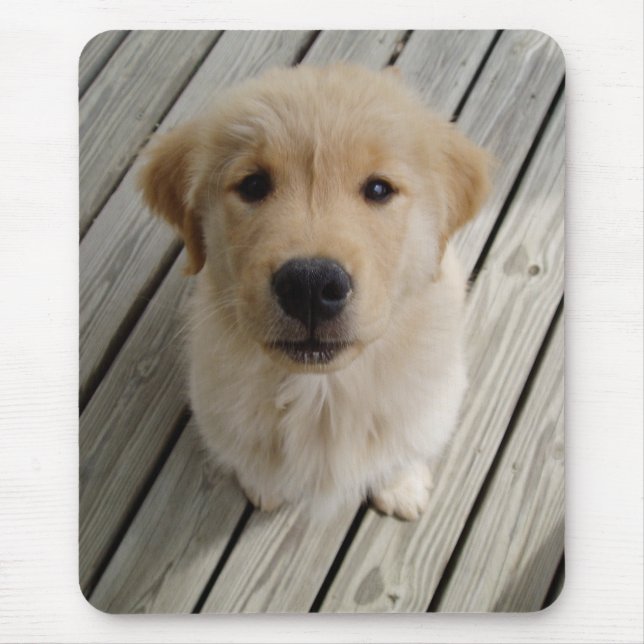 Mousepad do filhote de cachorro do golden (Frente)