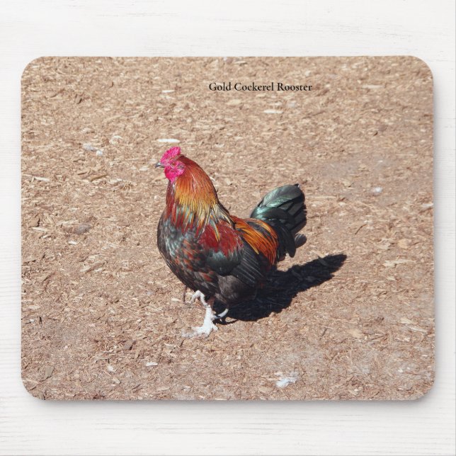 Mousepad do Galo Dourado Cockerel (Frente)