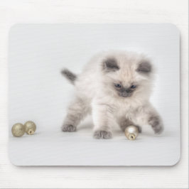 Mousepad do gatinho de Ragdoll