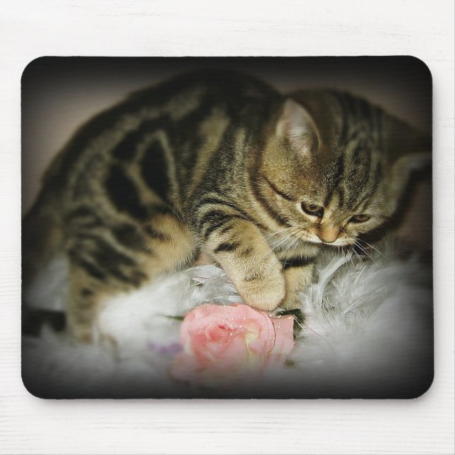 Mousepad do gatinho do gato malhado (Frente)