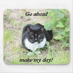 Mousepad do gato