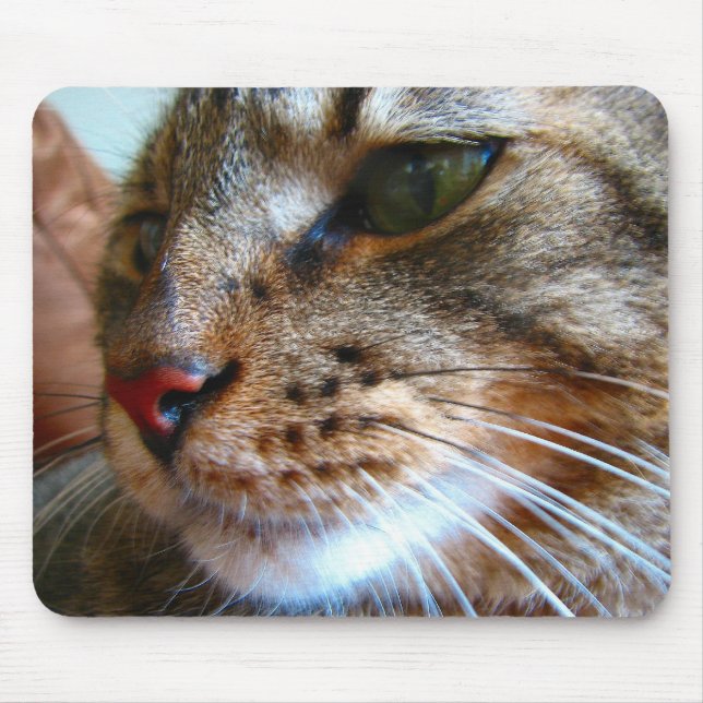 Mousepad do gato de gato malhado (Frente)