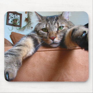 Mousepad do gato de gato malhado