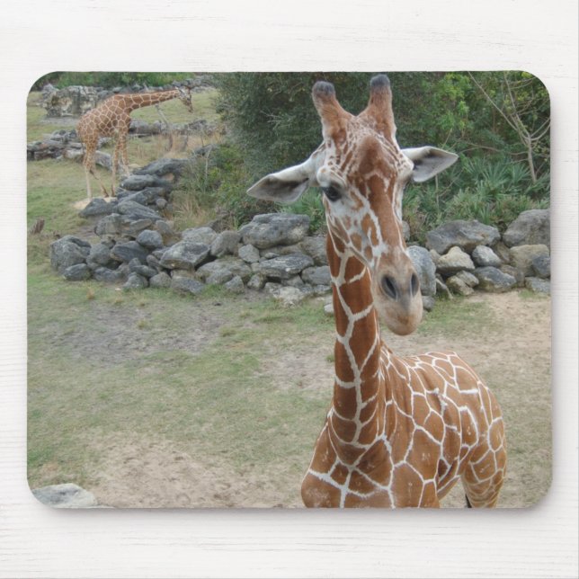 Mousepad do girafa (Frente)