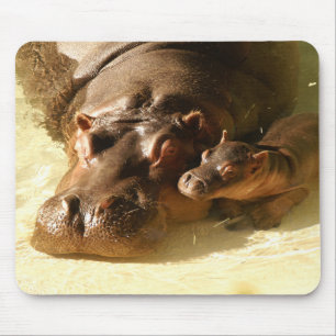 mousepad do hipopótamo
