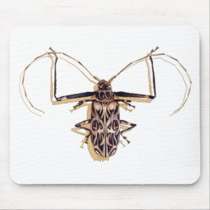 Mousepad Do "inseto da aguarela do inseto do besouro