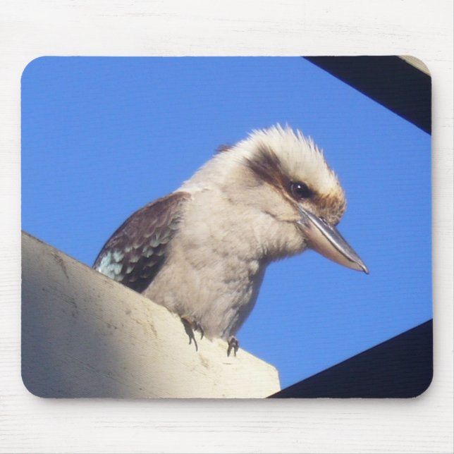 mousepad do kookaburra (Frente)