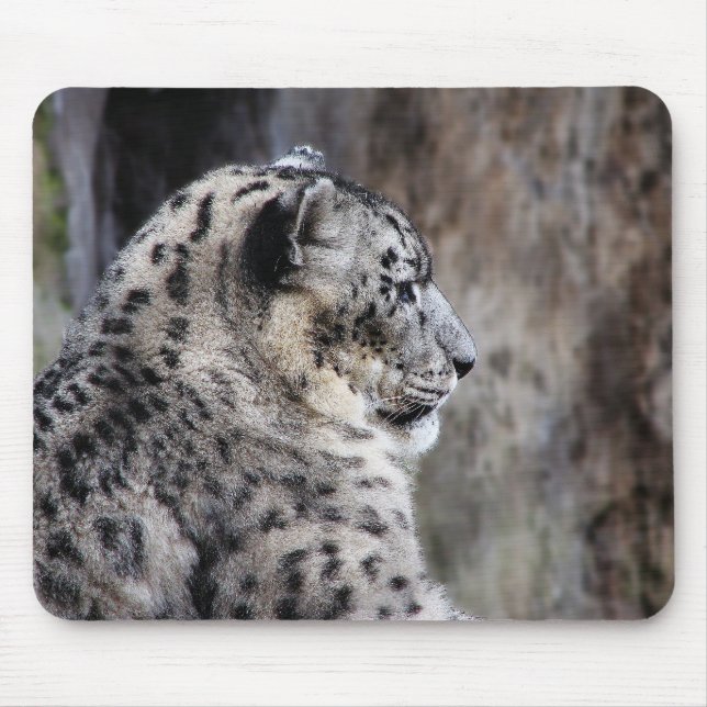 Mousepad do leopardo de neve (Frente)