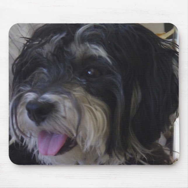 mousepad do maltipoo (Frente)