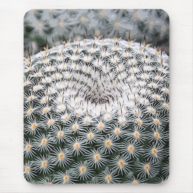 Mousepad do Mammillaria (Frente)