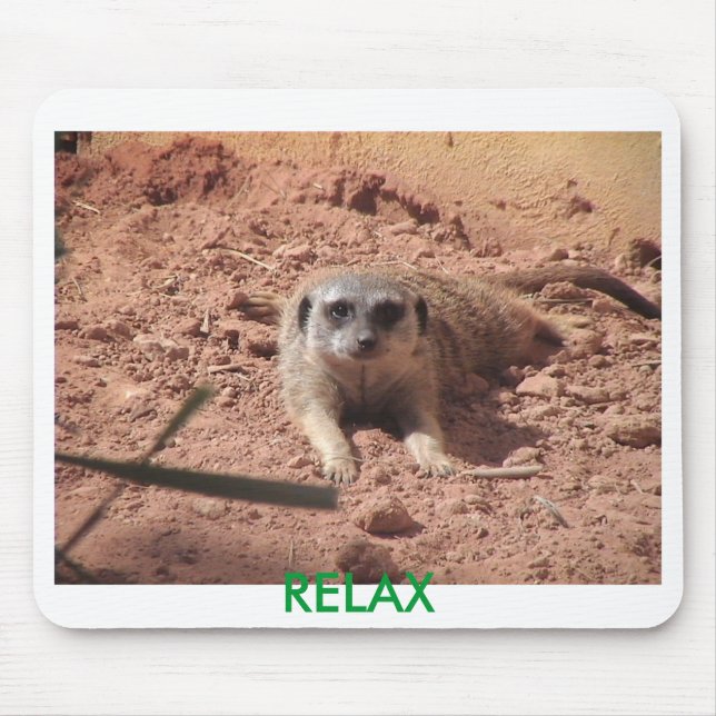 mousepad do meerkat (Frente)