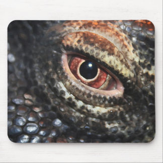 Mousepad do olho do dragão de Komodo