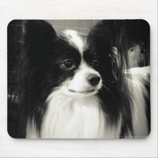 mousepad do papillon