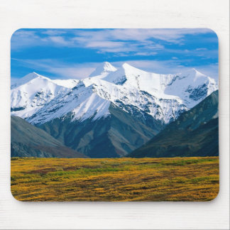 Mousepad do parque nacional de Denali