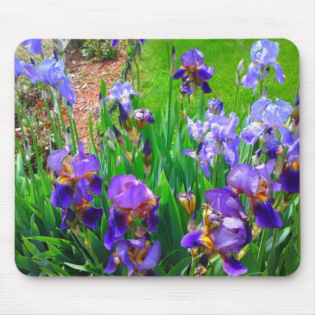 Mousepad do Patch da Flor Íris Azul (Frente)