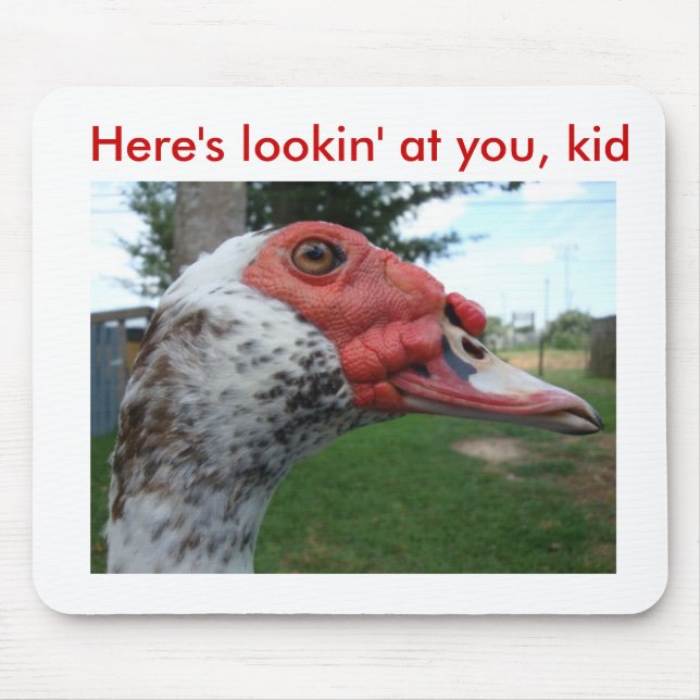 Mousepad do pato de Muscovy (Frente)