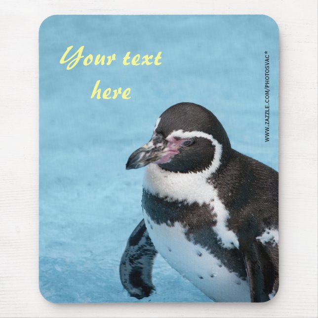 Mousepad do Pinguim-de-magalhães (Frente)