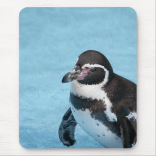 Mousepad do Pinguim-de-magalhães