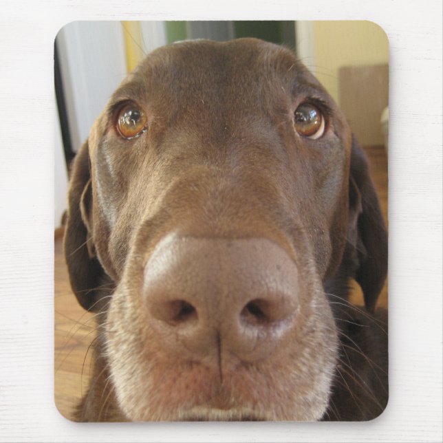 Mousepad do POP (Frente)