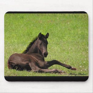 Mousepad do potro do frisão