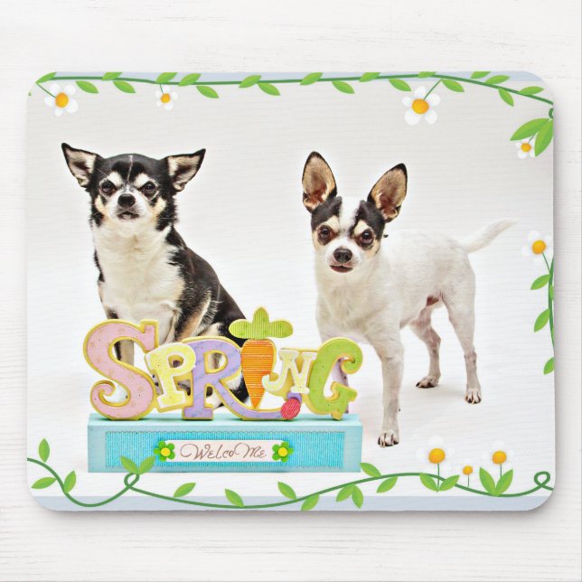 Mousepad do primavera Chihuahua (Frente)