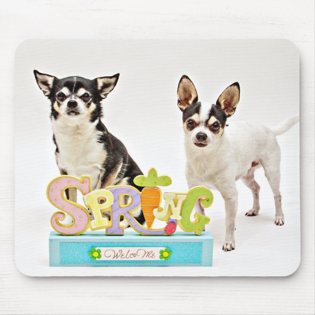 Mousepad do primavera Chihuahua (Frente)