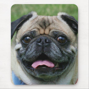 Mousepad do Pug