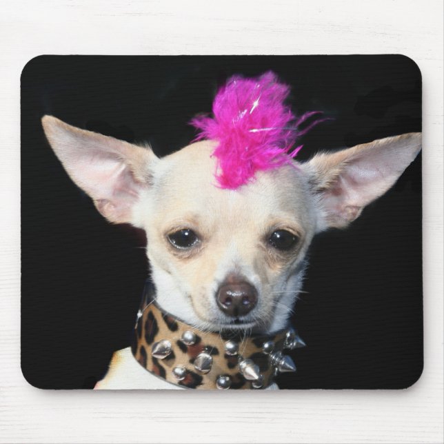 Mousepad do punk da chihuahua (Frente)