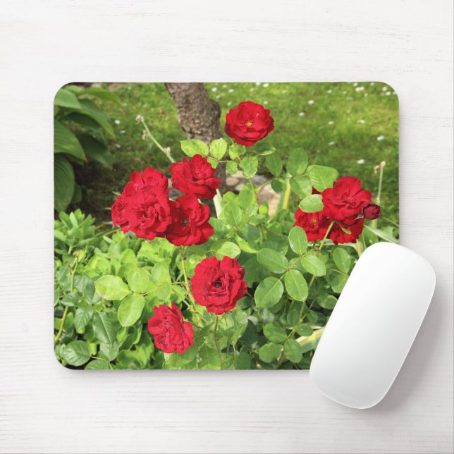 Mousepad do Rosa vermelha (Com mouse)