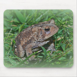 Mousepad do sapo