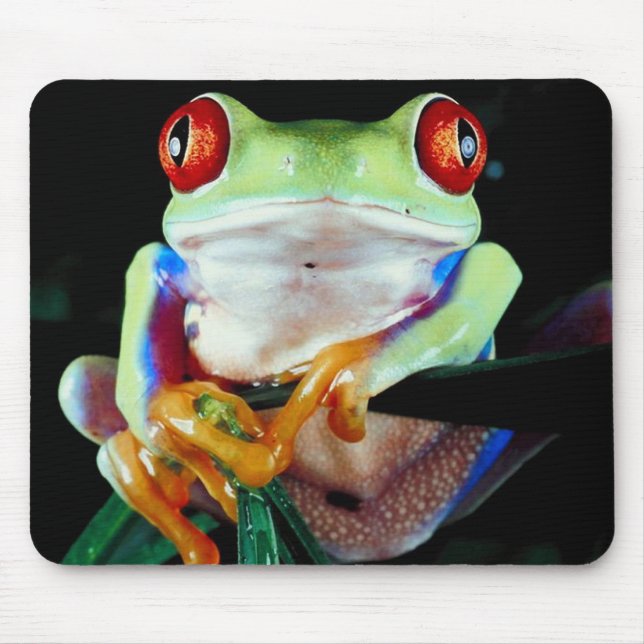 Mousepad do sapo de árvore (Frente)