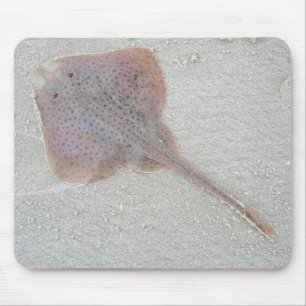 Mousepad do skate