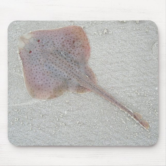 Mousepad do skate (Frente)