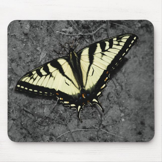 Mousepad do Tiger Oriental (Frente)