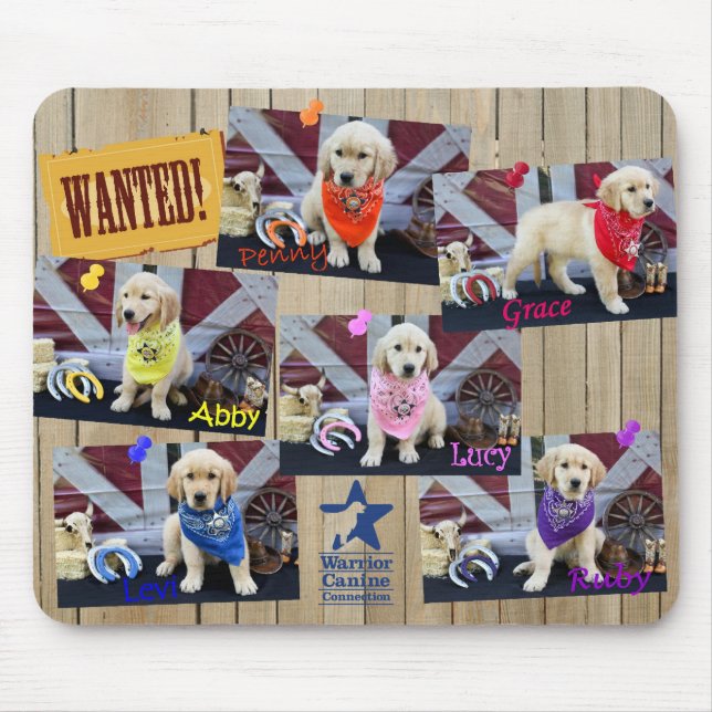 Mousepad do vaqueiro HHD (Frente)