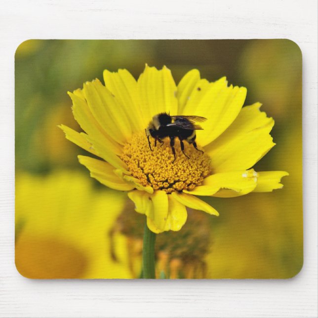 Mousepad do zangão (Frente)