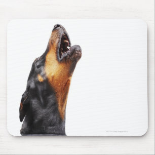 Mousepad Doberman que urra