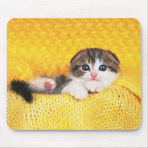 Mousepad Dobra do Scottish