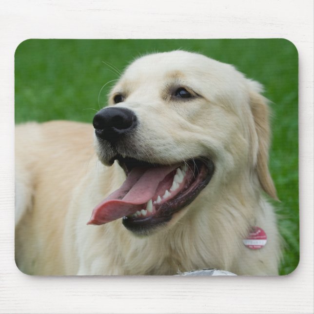Mousepad Doce Amiga Labrador (Frente)