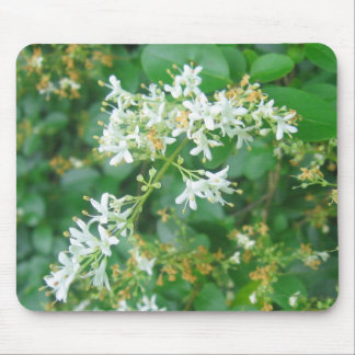Mousepad "Doce de Honeysuckle"