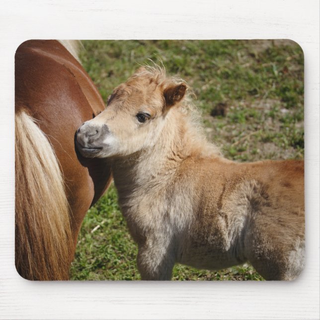 Mousepad Doce Haflinger Foal (Frente)