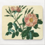 Mousepad Doce Rosa Briar<br><div class="desc">Floral</div>